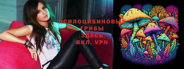 jwh Вяземский