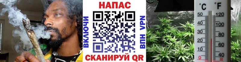 гидра сайт Шагонар Бошки марихуана THC 21%
